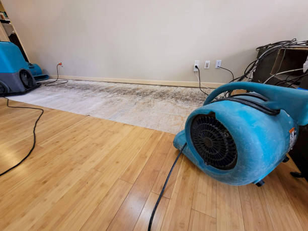 Professional Water Removal technician working in Morristown, NJ